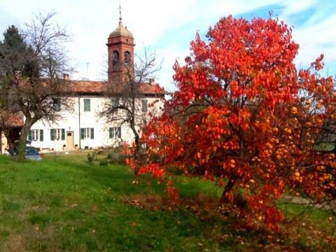 Canonica dei Templari Camino Esterno foto